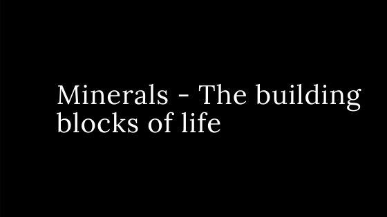 Minerals – The building blocks of life